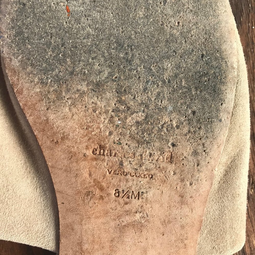 Charles David summer slides